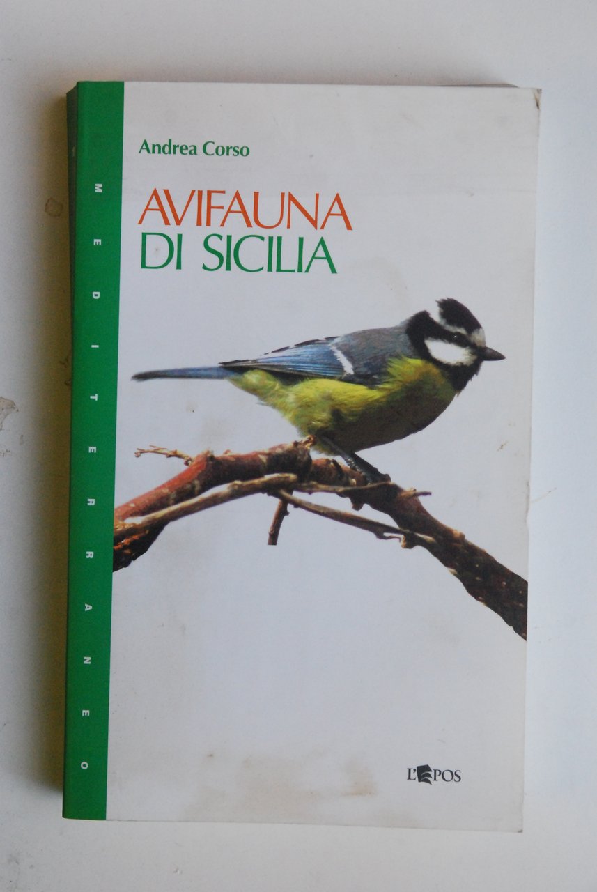 avifauna di sicilia