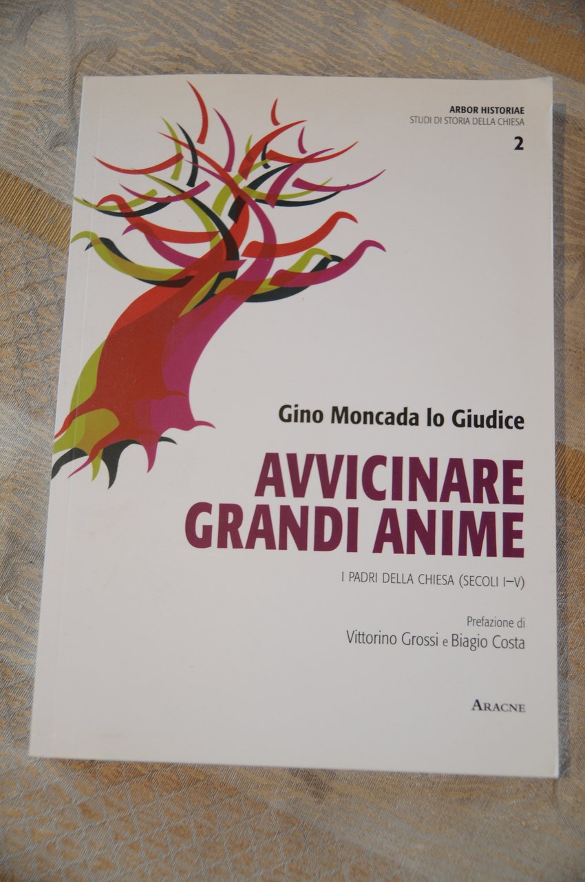 avvicinare grandi anime NUOVISSIMO
