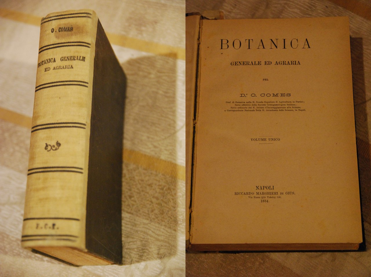 botanica generale ed agraria NUOVO vol. unico 1 ed.