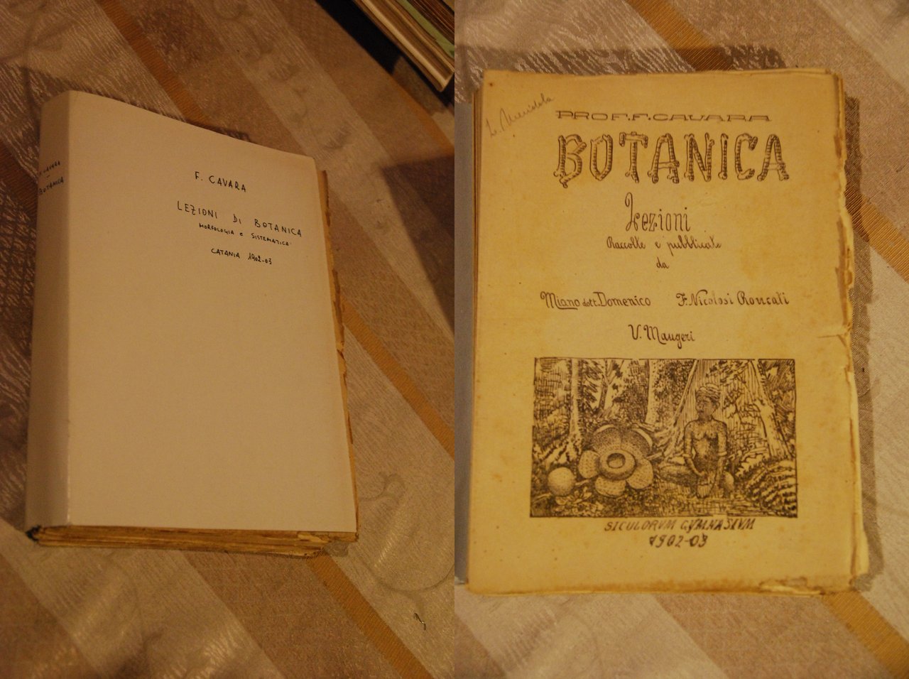 botanica lezioni raccolte e pubblicate da miano nicolosi maugeri