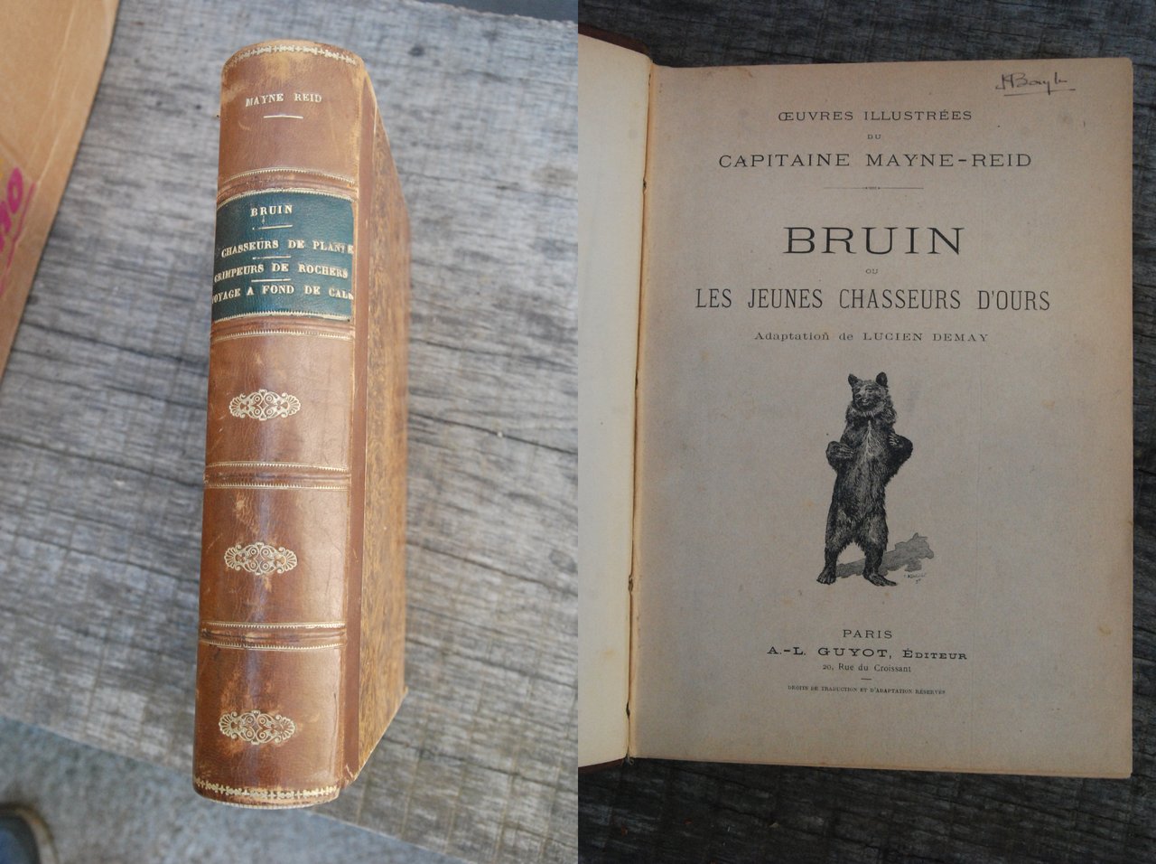 bruin les jeunes chasseurs d'ours NUOVO