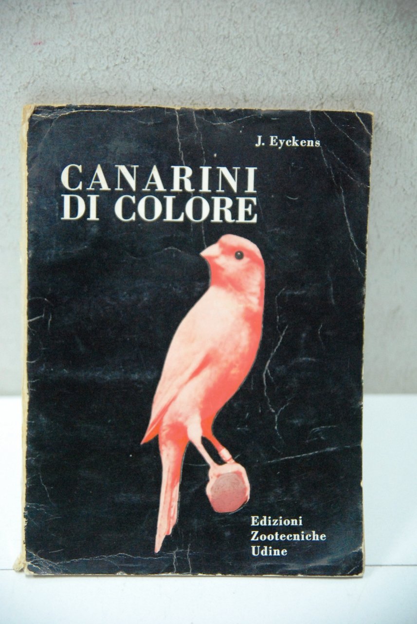 canarini di colore