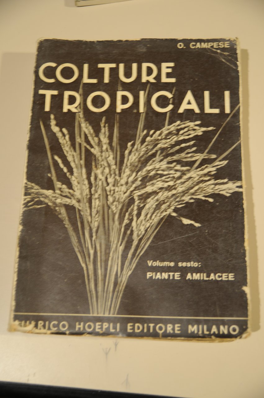 COLTURE TROPICALI VOL. VI PIANTE AMILACEE
