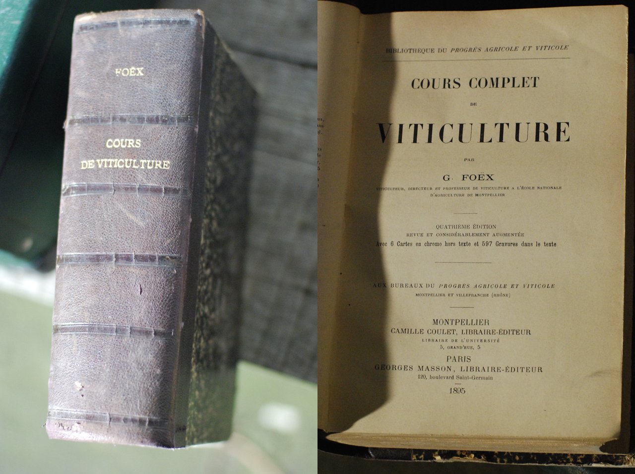 cours complet viticulture