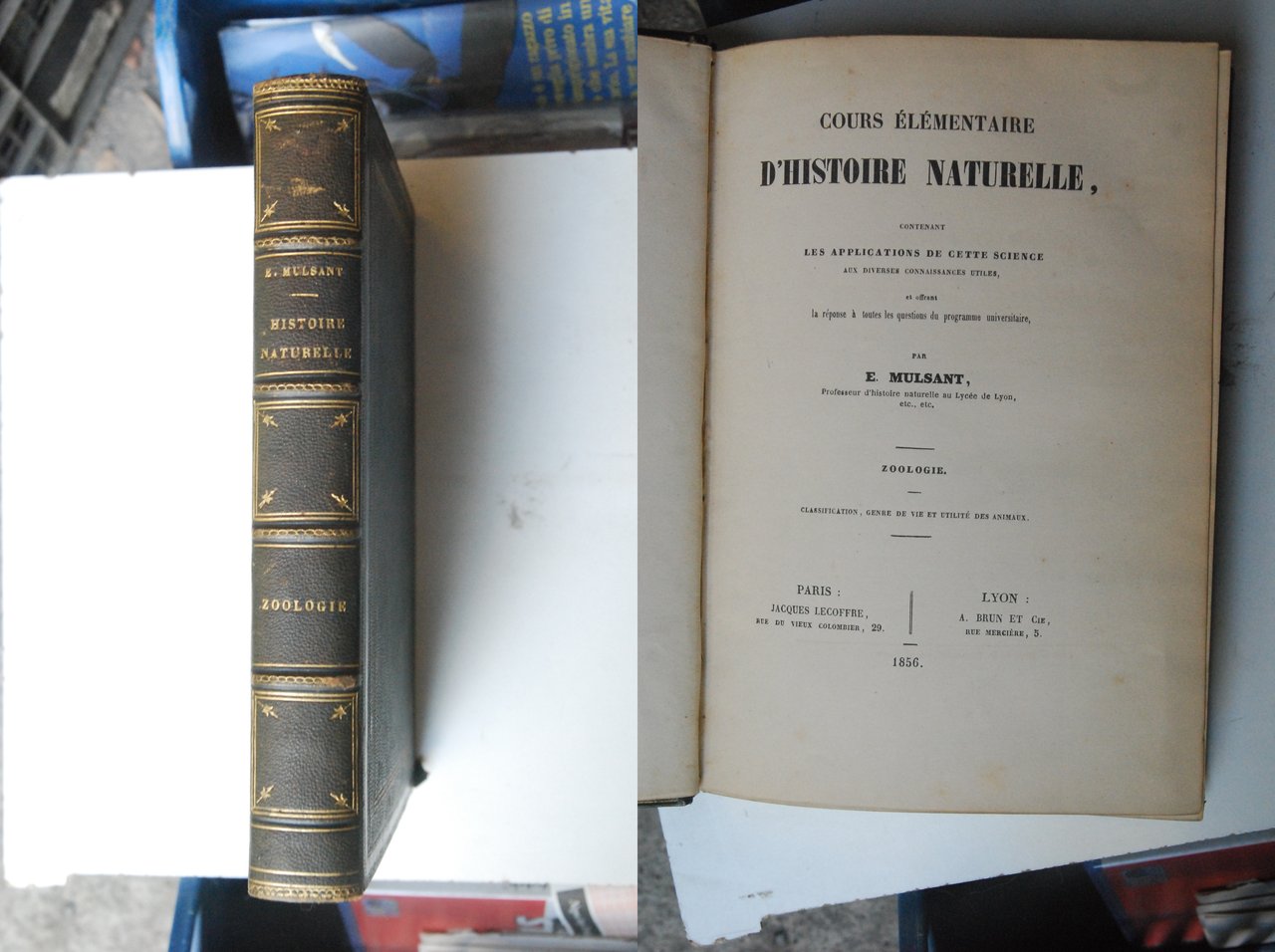 cours elementaire d'histoire naturelle zoologie NUOVO