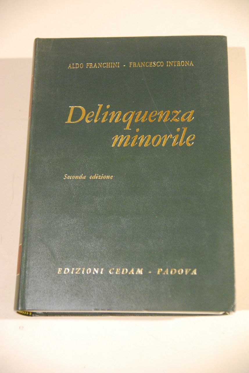 delinquenza minorile 2a ediz. NUOVO