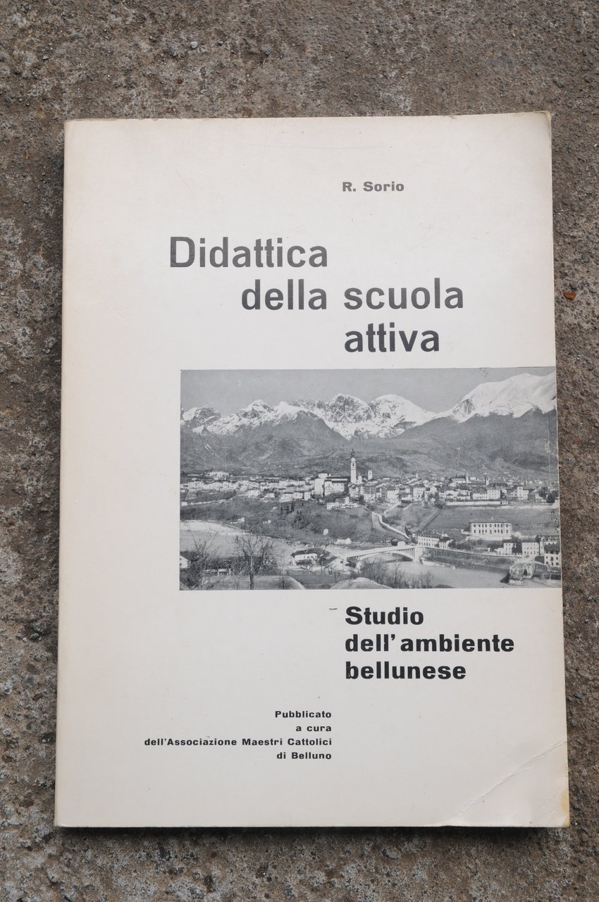 didattica della scuola attiva studio dell'ambiente bellunese NUOVISSIMO