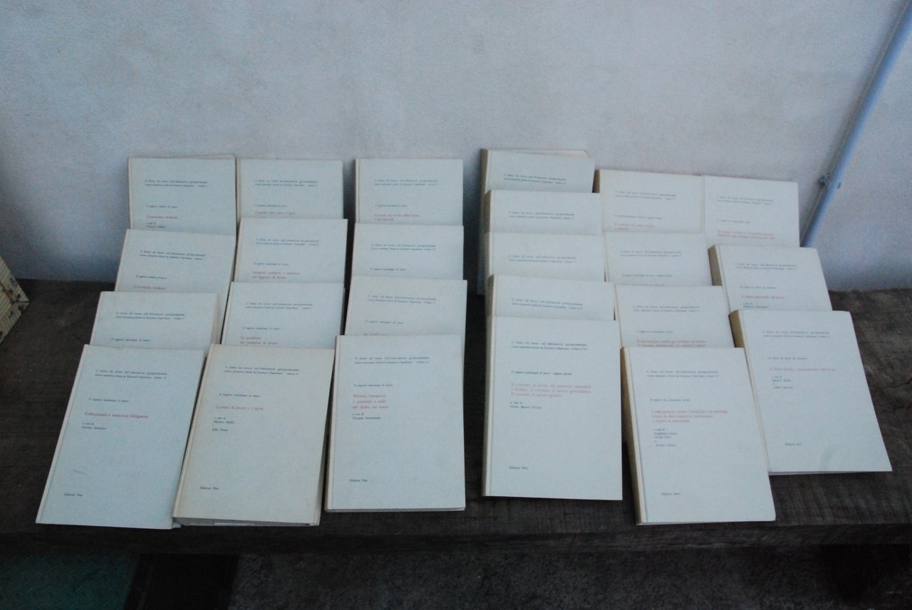 diritto del lavoro elaborazione giurisprudenziale ricerca sistematica 24 voll. pem | Immagine principale