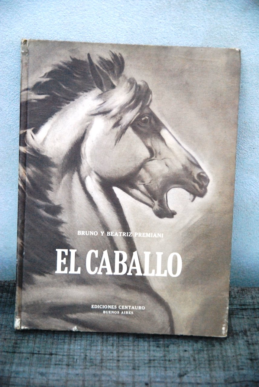 el caballo NUOVISSIMO