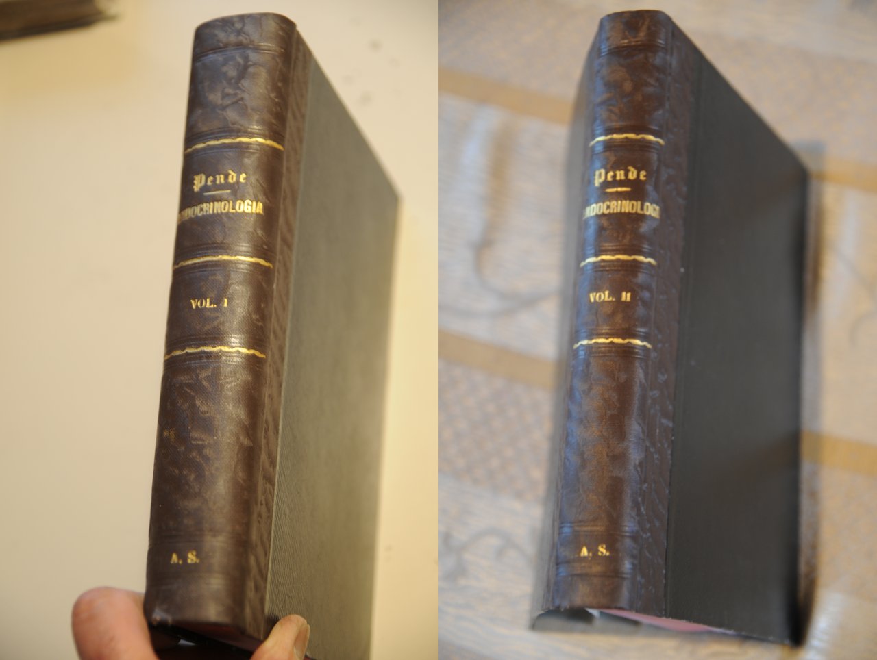 endocrinologia patologia e clinica 1934 vol. 1 e 2