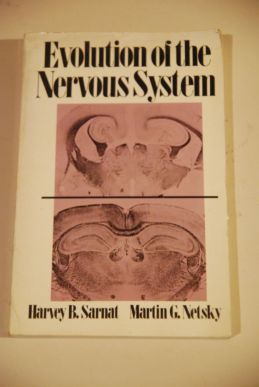 evolution of the nervous system NUOVO