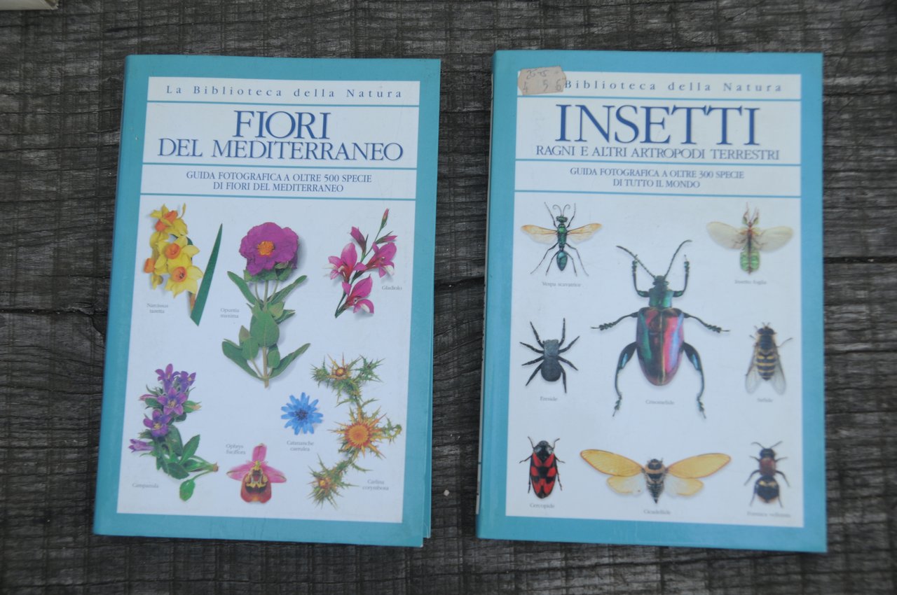 fiori del mediterraneo e insetti ragni 2 voll. NUOVISSIMI | Immagine principale