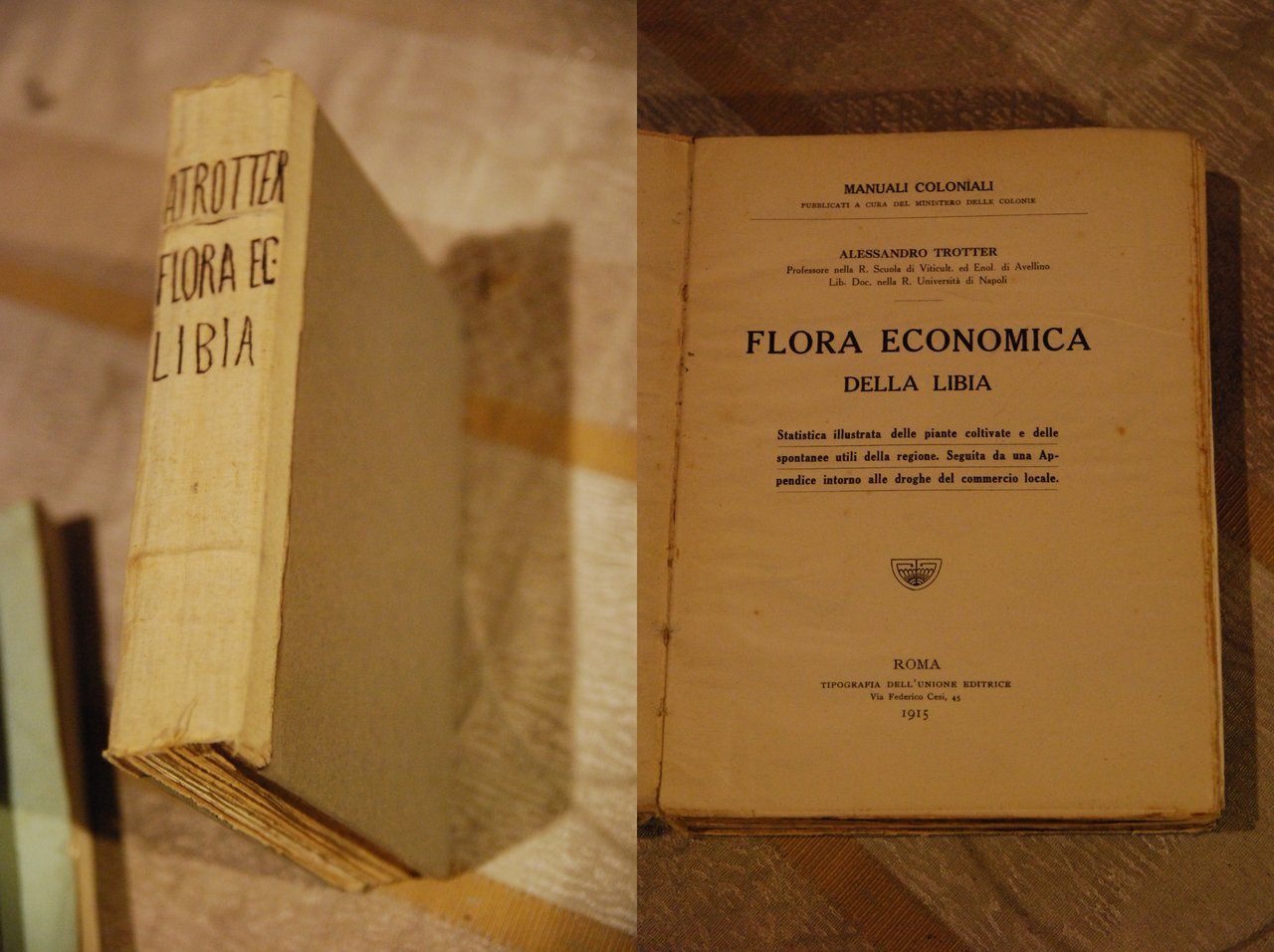 flora economica della libia NUOVO