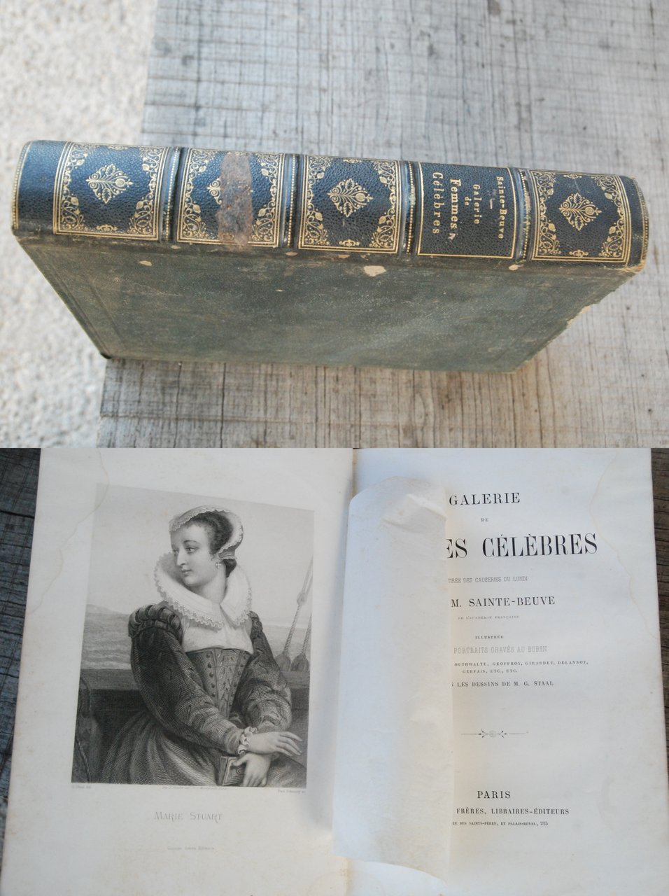 galerie des femmes celebres nuovissimo