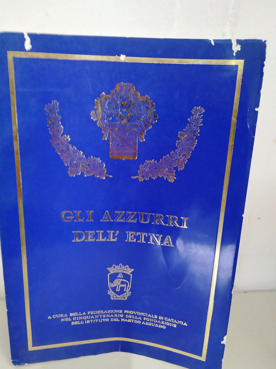 gli azzurri dell'etna