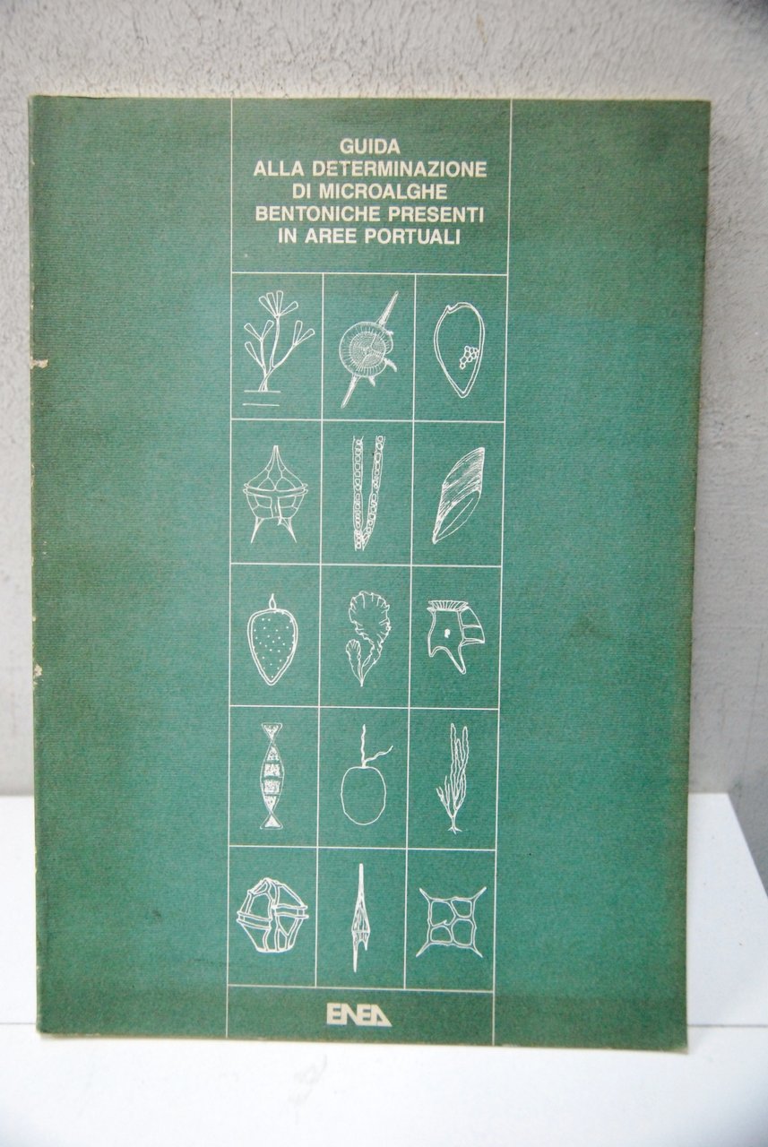 guida alla determinazione di microalghe bentoniche presenti in aree portuali