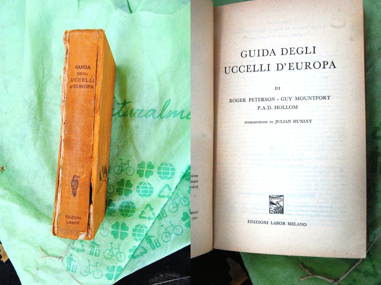 guida degli uccelli d'europa come da foto