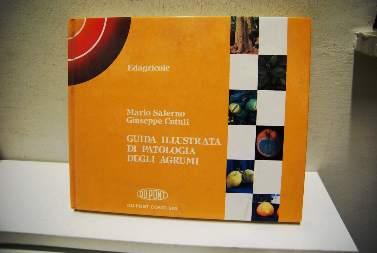 Guida illustrata di patologia degli agrumi | Immagine principale