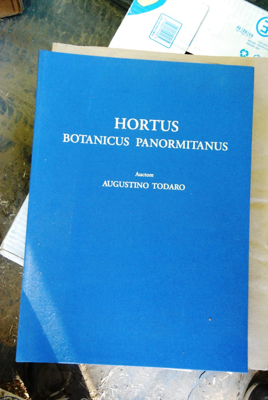 hortus botanicus panormitanus NUOVO