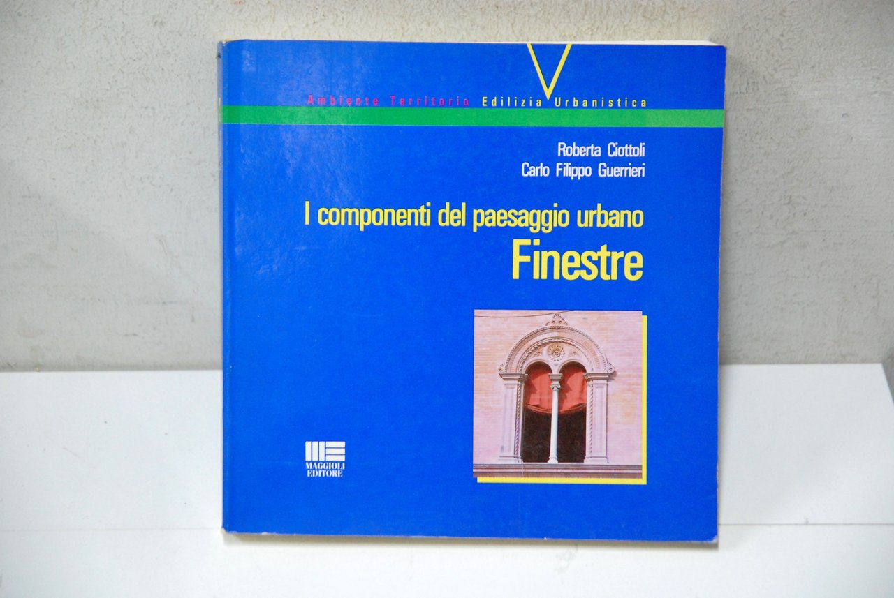 i componenti del paesaggio urbano finestre NUOVO