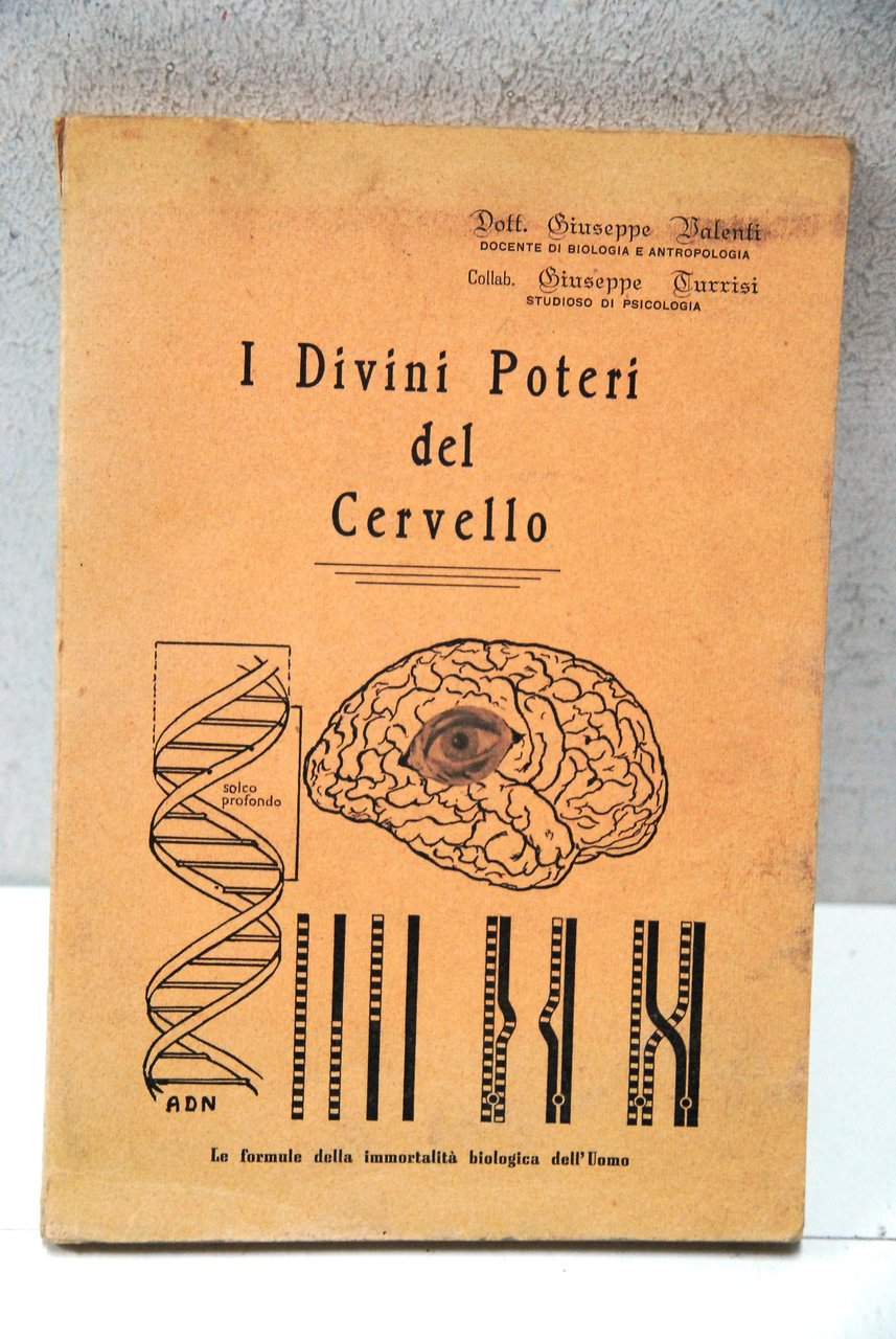 i divini poteri del cervello