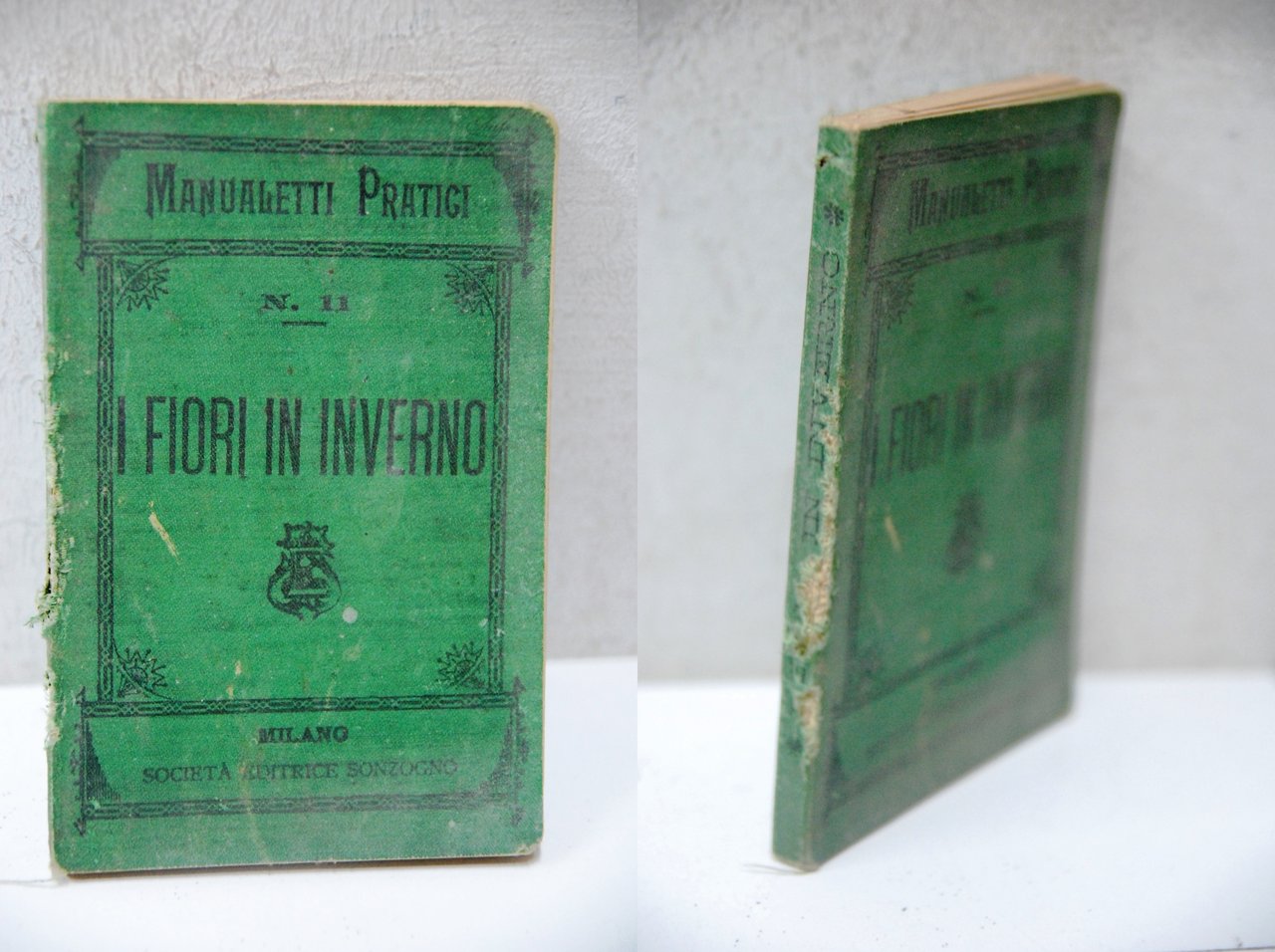 i fiori in inverno 14 disegni | Immagine principale