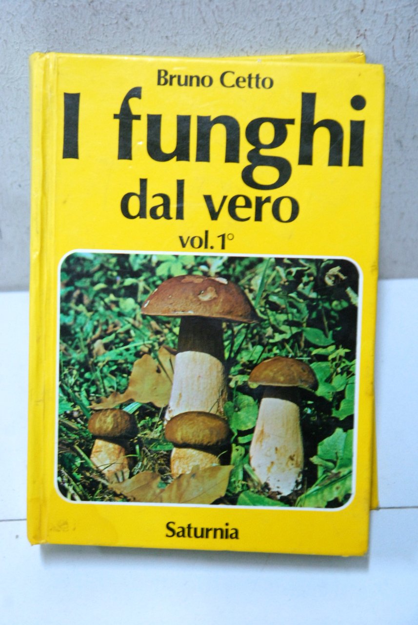 i funghi dal vero vol. 1 NUOVO