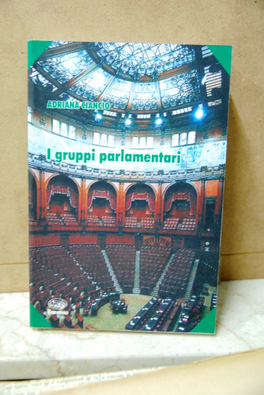 I gruppi parlamentari
