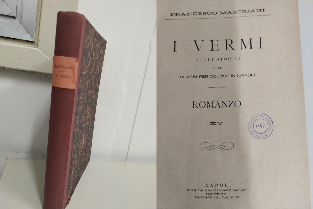 i vermi studi storici su le classi pericolose in napoli …