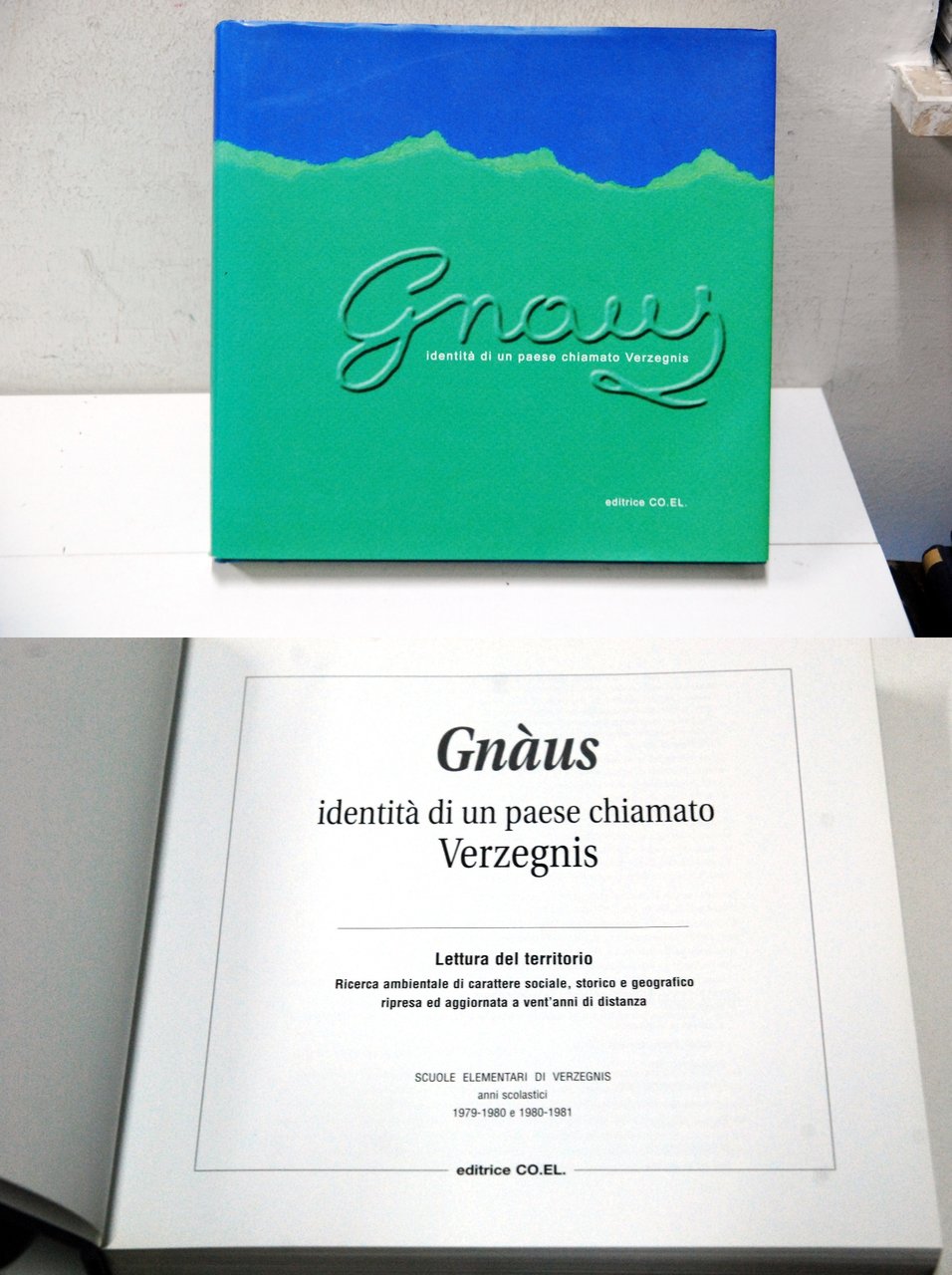 identità di un paese chiamato verzegnis NUOVO