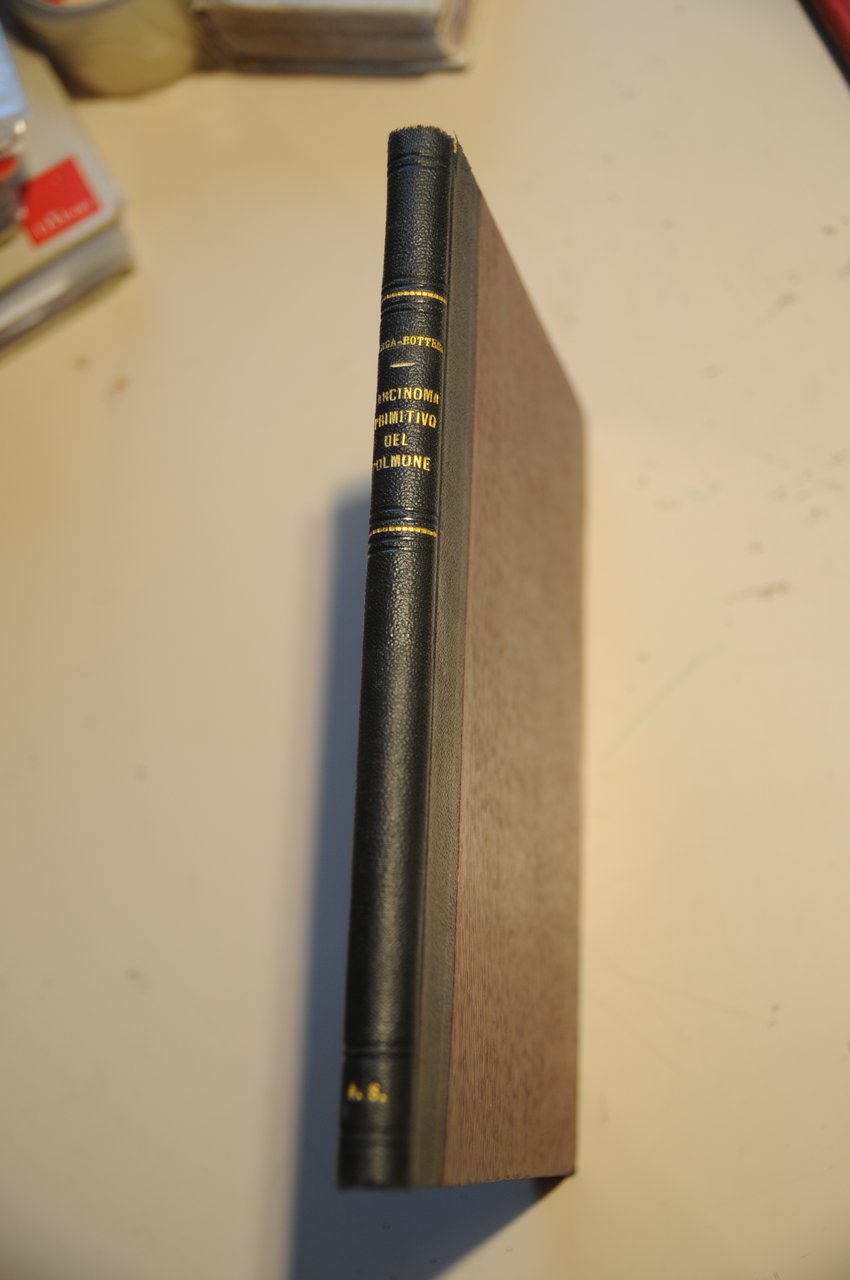 il carcinoma primitivo del polmone