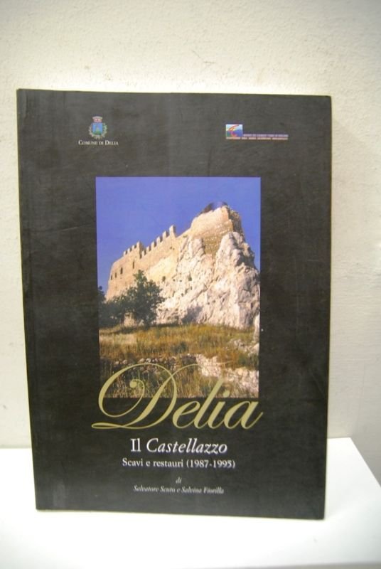 Il Castellazzo scavi e restauri (1987 ? 1995)