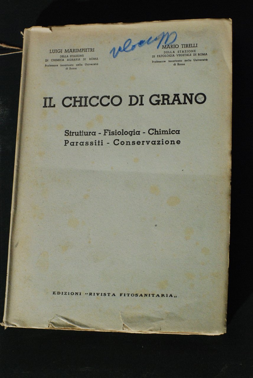 il chicco di grano struttura fisiologia chimica parassiti conservazione NUOVO