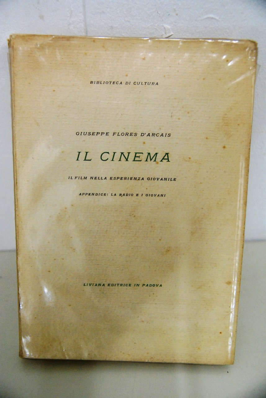 il cinema il film nella esperienza giovanile