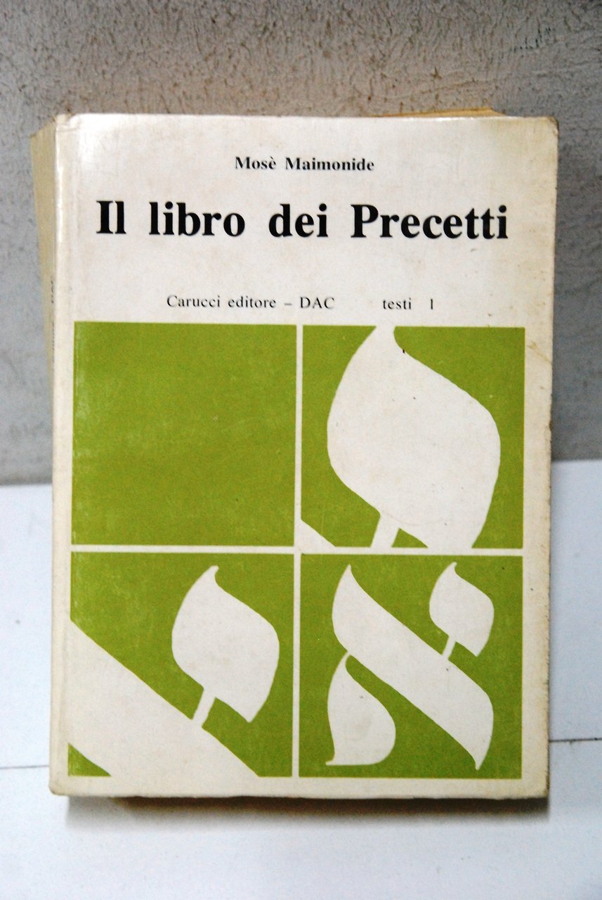 Il libro dei precetti