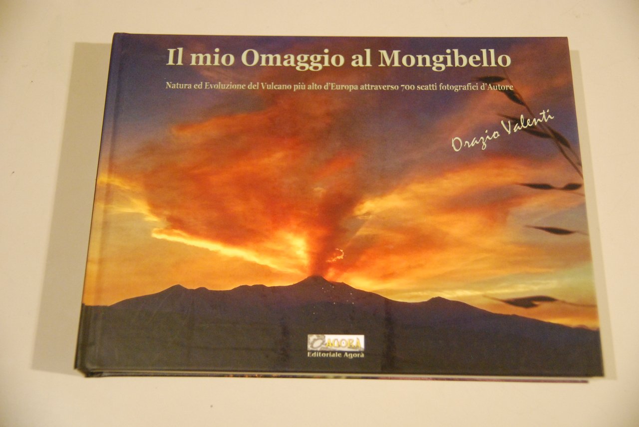 il mio omaggio al mongibello NUOVO