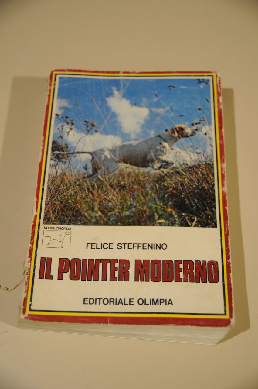 il pointer moderno (costa un pò sciupata)