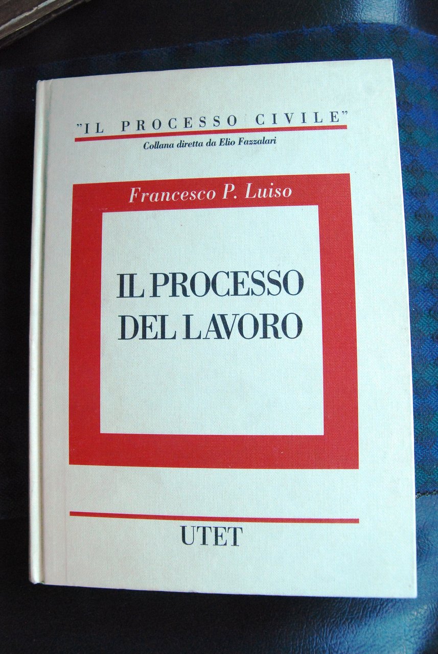il processo del lavoro NUOVISSIMO | Immagine principale