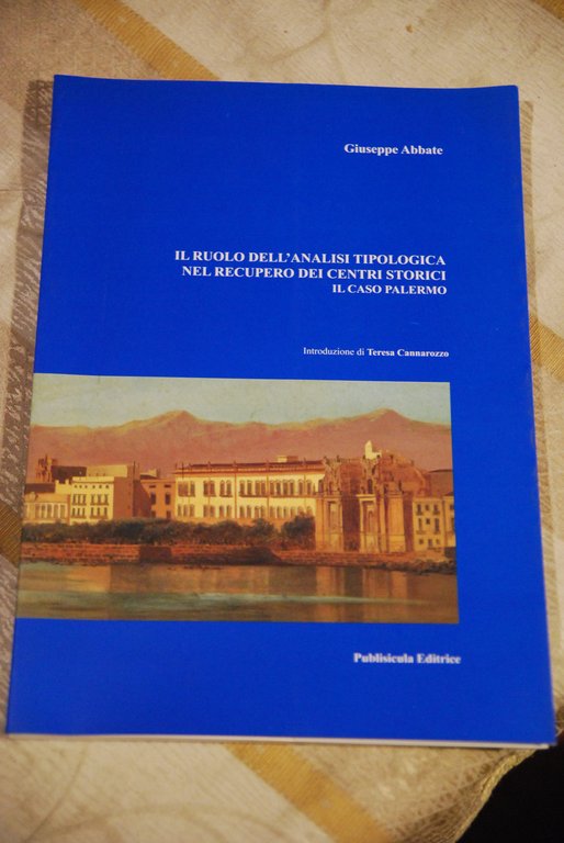 il ruolo dell'analisi tipologica nel recupero dei centri storici caso palermo NUOVISSIMO