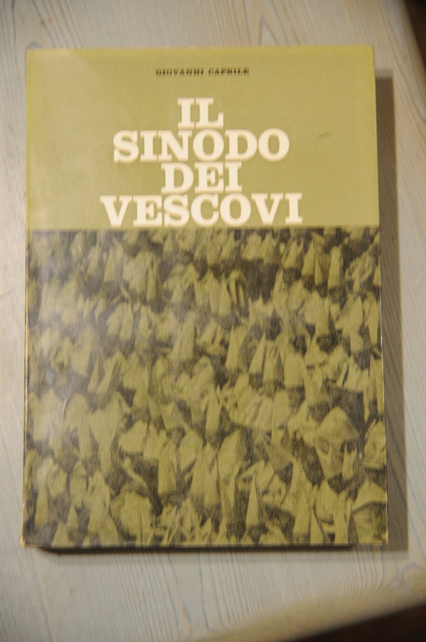il sinodo dei vescovi NUOVISSIMO