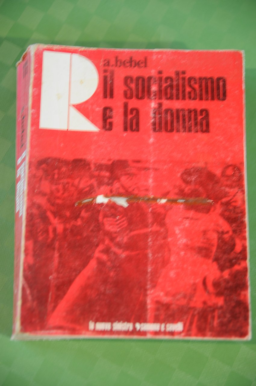 il socialismo e la donna