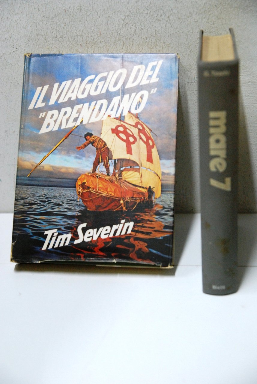 Il viaggio del brendano toschi mare 7