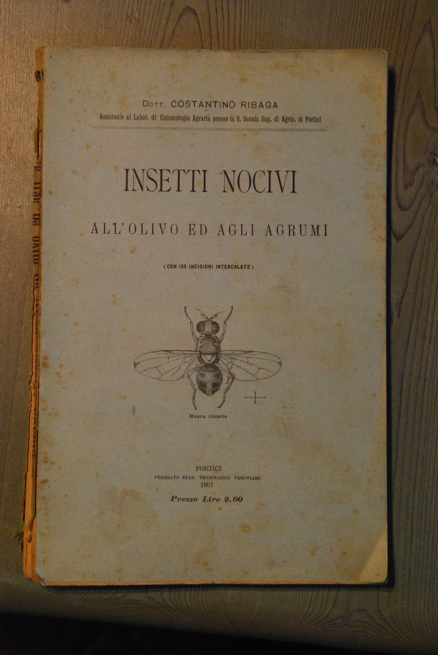 insetti nocivi all'olivo ed agli agrumi ottime cdz.