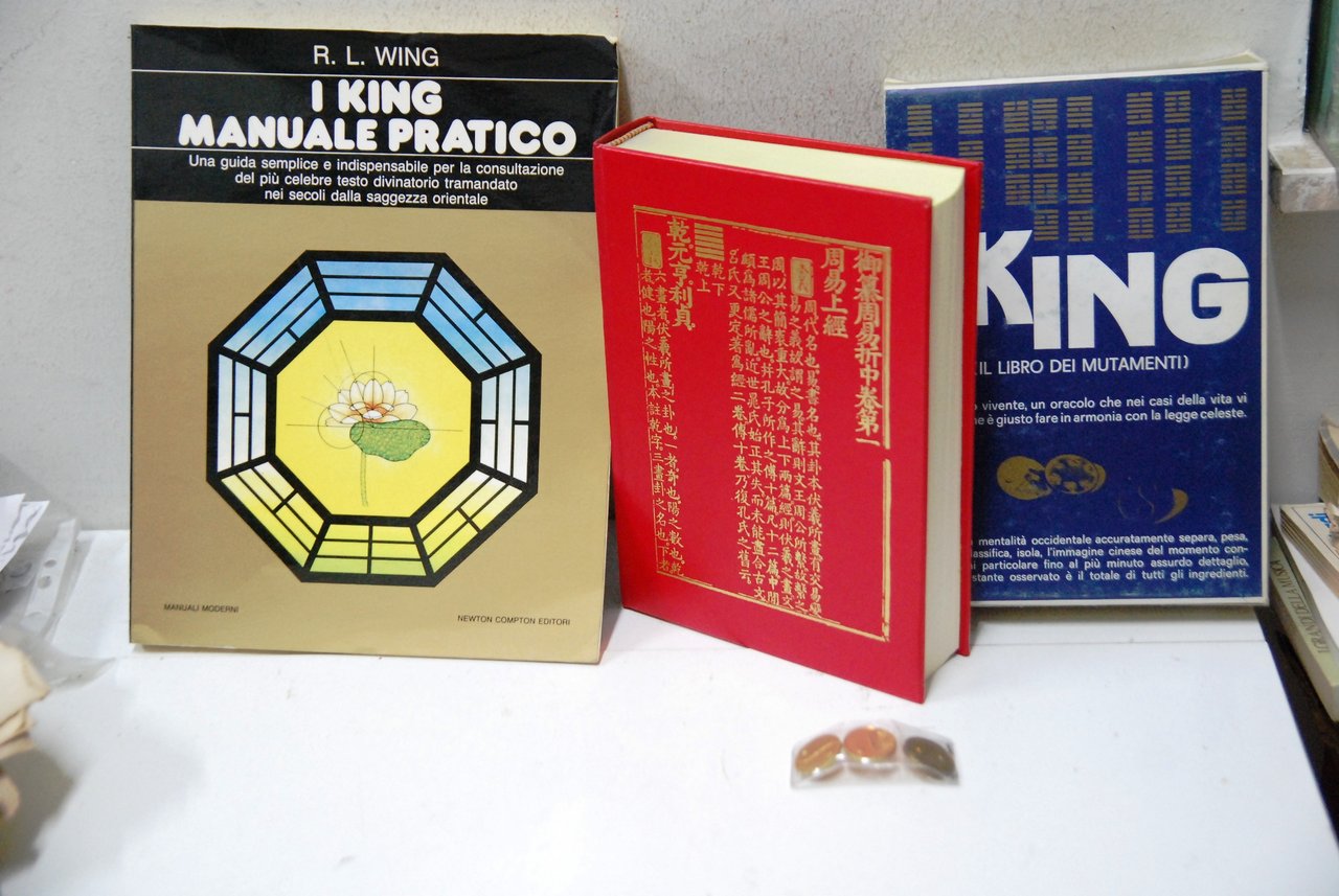 KING manuale pratico newton compton e i king libro dei … | Immagine principale