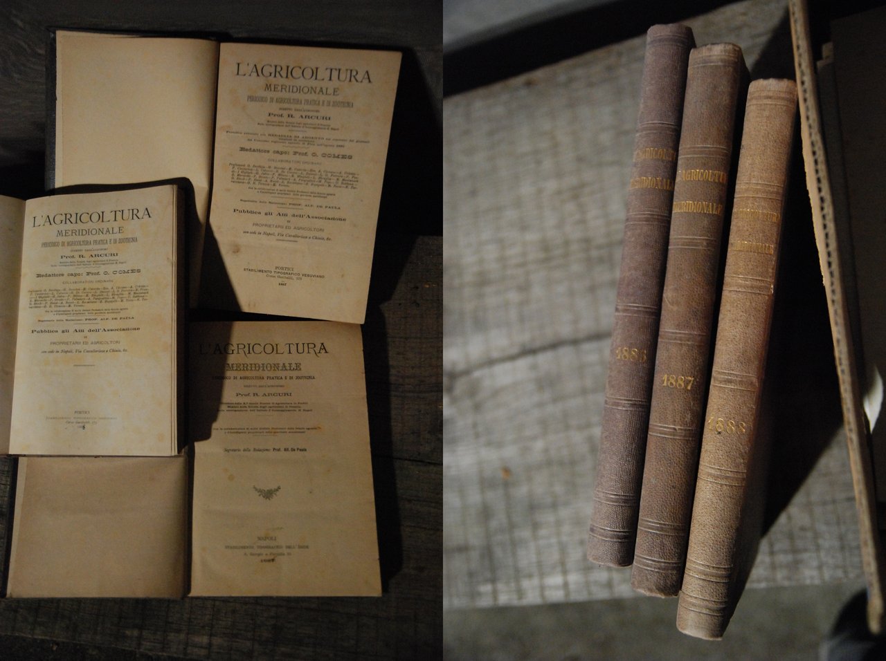 l'agricoltura meridionale 1886 1887 1888