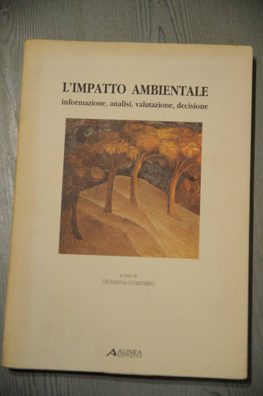 l'impatto ambientale NUOVO