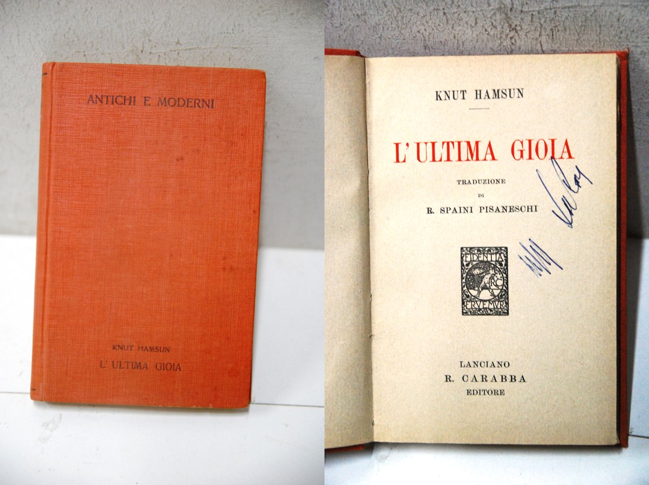 l'ultima gioia | Immagine principale