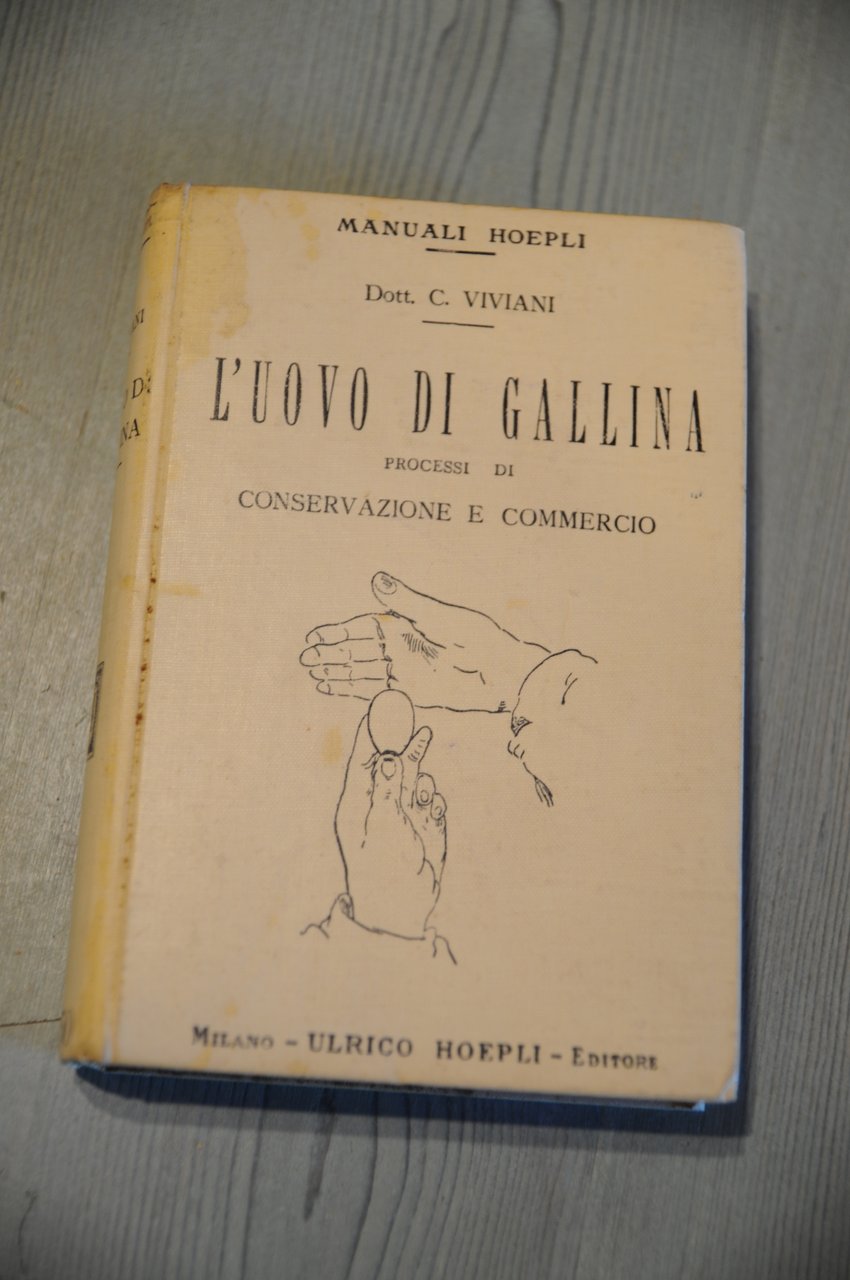 l'uovo di gallina processi di conservazione e commercio