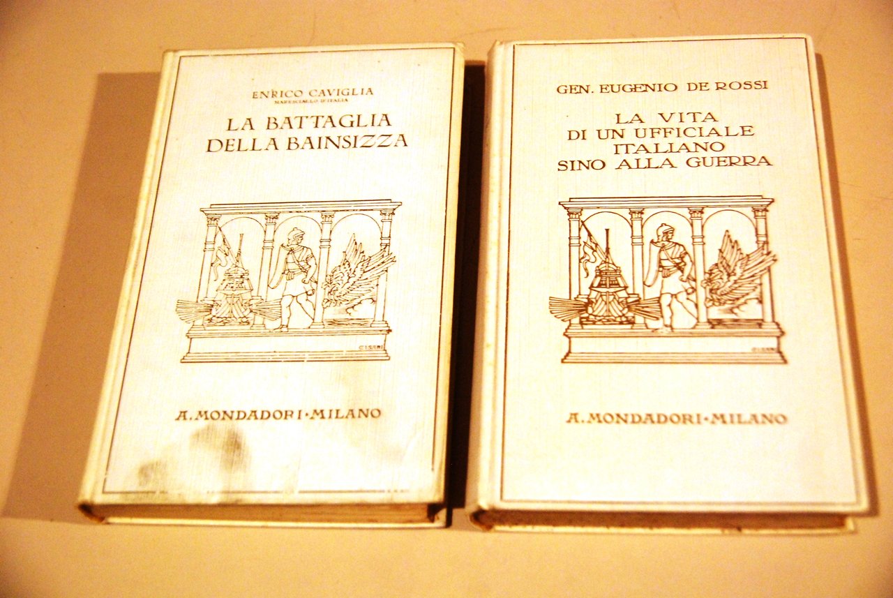 la battaglia della bainsizza e la vita di un ufficiale …