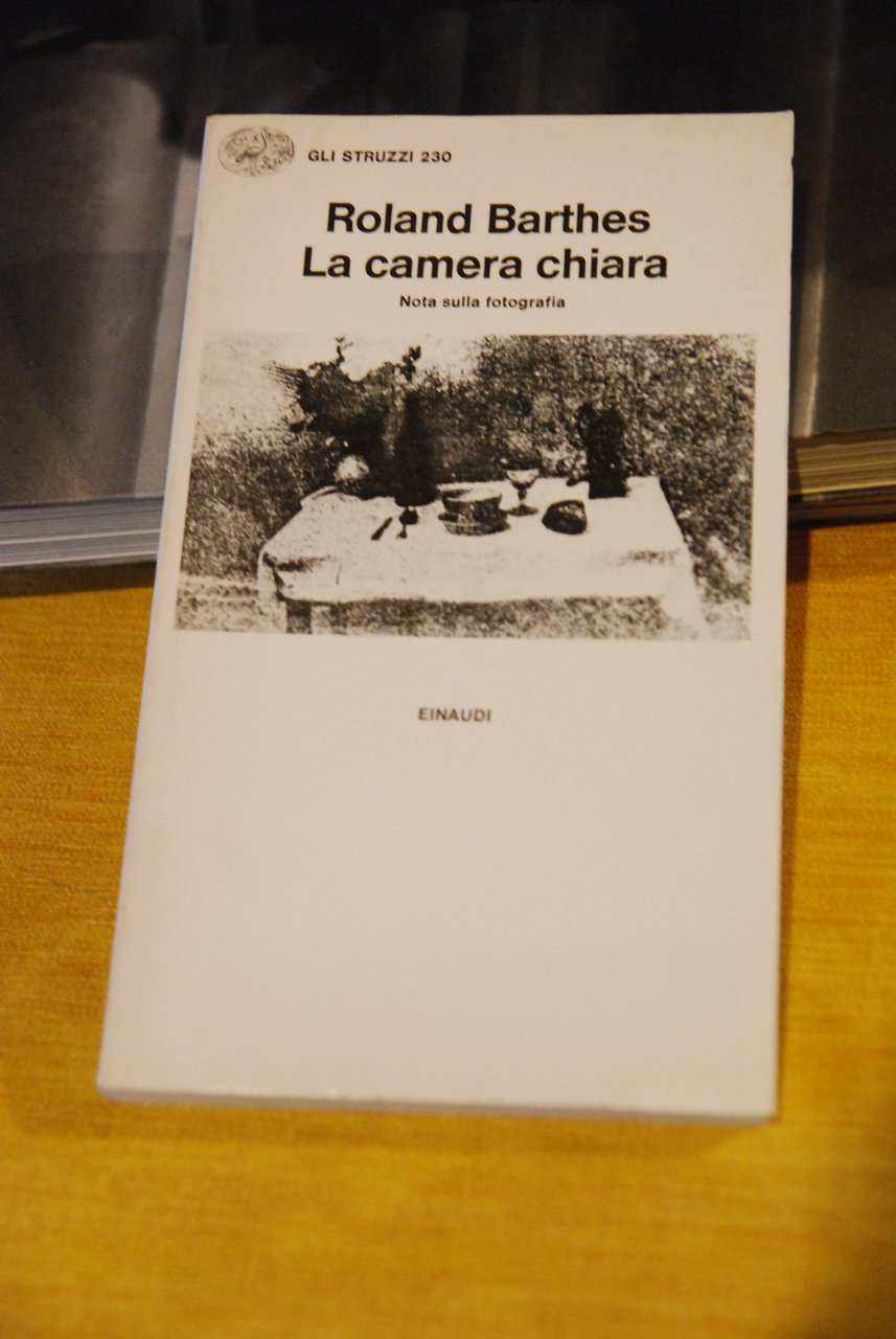 la camera chiara nota sulla fotografia gli struzzi 230 NUOVO